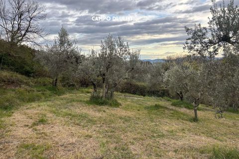 Villa i Roccatederighi, Grosseto, Roccatederighi - € 35.000 | Ref: 41741006-198-1137731 - foto 9