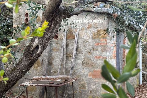 Villa i Roccatederighi, Grosseto, Roccatederighi - € 35.000 | Ref: 41741006-198-1137731 - foto 13