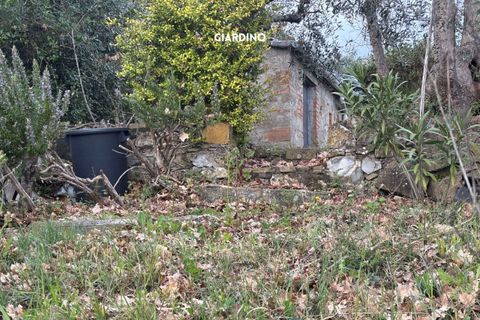 Villa i Roccatederighi, Grosseto, Roccatederighi - € 35.000 | Ref: 41741006-198-1137731 - foto 14