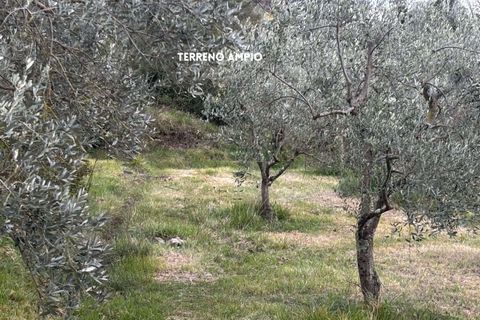 Villa i Roccatederighi, Grosseto, Roccatederighi - € 35.000 | Ref: 41741006-198-1137731 - foto 15
