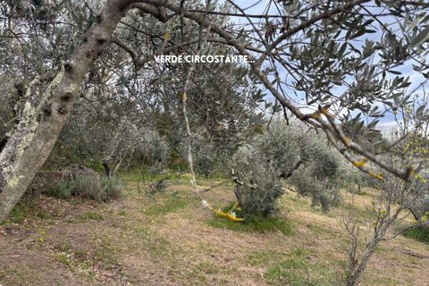 Villa i Roccatederighi, Grosseto, Roccatederighi - € 35.000 | Ref: 41741006-198-1137731 - foto 16
