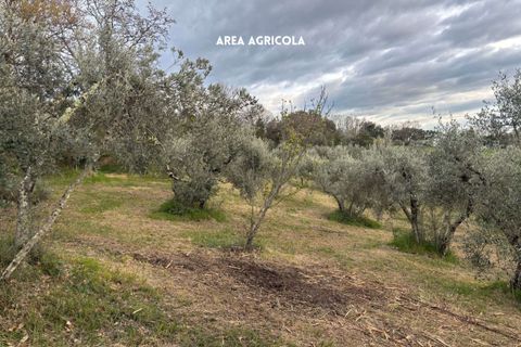 Villa i Roccatederighi, Grosseto, Roccatederighi - € 35.000 | Ref: 41741006-198-1137731 - foto 17