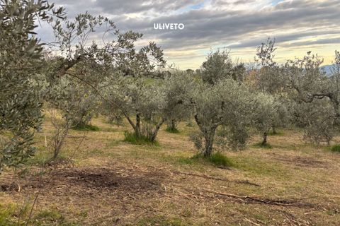 Villa i Roccatederighi, Grosseto, Roccatederighi - € 35.000 | Ref: 41741006-198-1137731 - foto 18