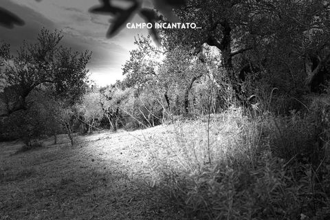 Villa i Roccatederighi, Grosseto, Roccatederighi - € 35.000 | Ref: 41741006-198-1137731 - foto 19