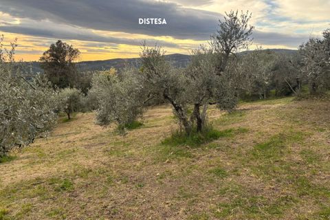 Villa i Roccatederighi, Grosseto, Roccatederighi - € 35.000 | Ref: 41741006-198-1137731 - foto 20
