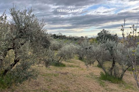 Villa i Roccatederighi, Grosseto, Roccatederighi - € 35.000 | Ref: 41741006-198-1137731 - foto 21