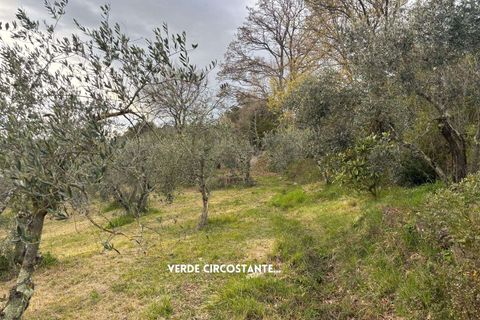 Villa i Roccatederighi, Grosseto, Roccatederighi - € 35.000 | Ref: 41741006-198-1137731 - foto 23