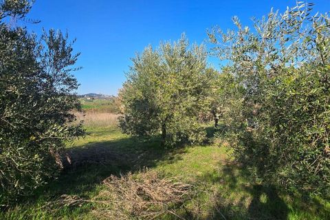 Villa a Todi, Perugia, Todi - € 169.000 | Ref: TODI48-2-1138318 - foto 17