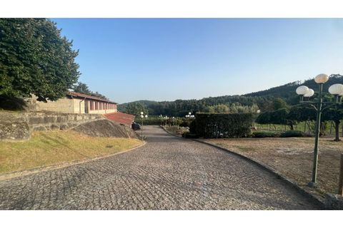 Farm i Sande (Vila Nova), Braga, Sande (Vila Nova) - € 3.500.000 | Ref: MAS_321 - foto 46