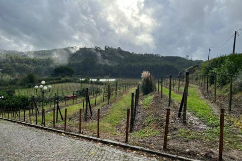 Farm i Sande (Vila Nova), Braga, Sande (Vila Nova) - € 3.500.000 | Ref: MAS_321 - foto 47