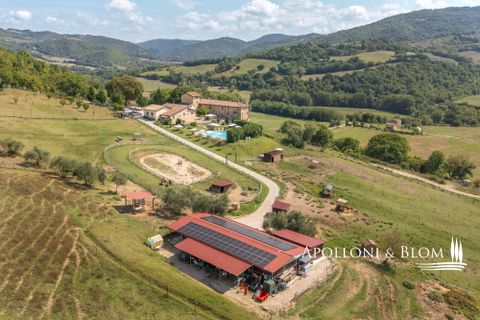 Farm hus i Umbertide, Perugia, Umbertide - € 1.680.000 | Ref: PER2419-1154030 - foto 10