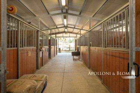 Farm hus i Umbertide, Perugia, Umbertide - € 1.680.000 | Ref: PER2419-1154030 - foto 45