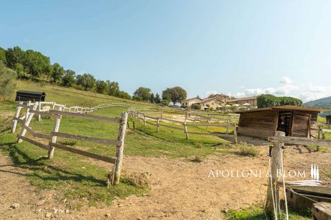 Farm hus i Umbertide, Perugia, Umbertide - € 1.680.000 | Ref: PER2419-1154030 - foto 47