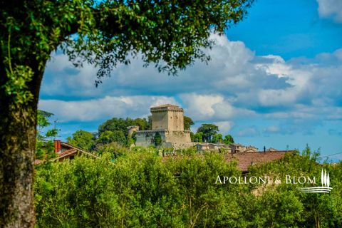 Villa a Sarteano, Siena, Sarteano - € 1.100.000 | Ref: SAR3661-1154592 - foto 34