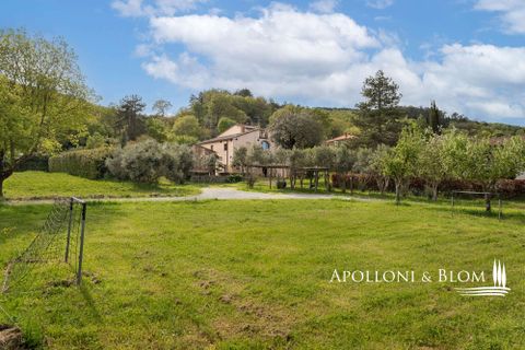 Villa a Sarteano, Siena, Sarteano - € 1.100.000 | Ref: SAR3661-1154592 - foto 43