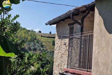 Byhus i Arsita, Teramo, Arsita - € 44.000 | Ref: EL1145-1155318 - foto 9