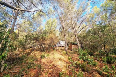 Helårsgrund i Le Beausset, Var, Le Beausset - € 39.000 | Ref: 11903FZ1139 - foto 5