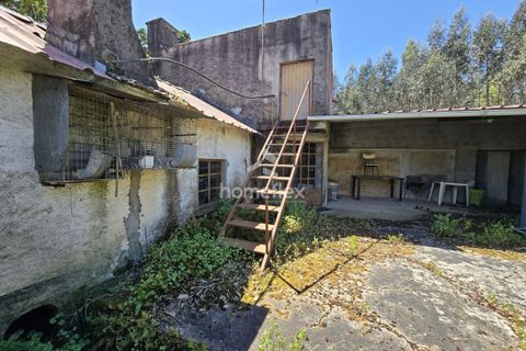 Villa i Ansiao, Leiria, Ansiao - € 35.000 | Ref: 1668/AV - foto 6