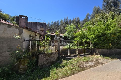 Villa i Ansiao, Leiria, Ansiao - € 35.000 | Ref: 1668/AV - foto 9