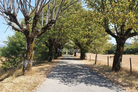 Villa i Ansiao, Leiria, Ansiao - € 35.000 | Ref: 1668/AV - foto 12