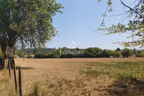 Villa i Ansiao, Leiria, Ansiao - € 35.000 | Ref: 1668/AV - foto 13