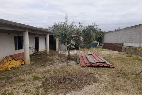 Tomt i Soure, Coimbra, Soure - € 66 500 | Ref: 1697/AV - foto 2