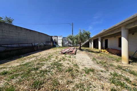Tomt i Soure, Coimbra, Soure - € 66 500 | Ref: 1697/AV - foto 4