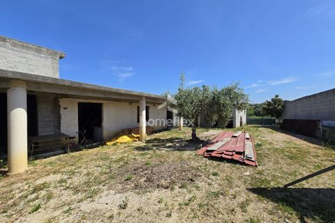 Tomt i Soure, Coimbra, Soure - € 66 500 | Ref: 1697/AV - foto 5
