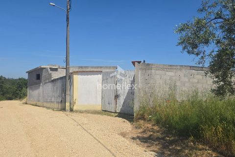 Tomt i Soure, Coimbra, Soure - € 66 500 | Ref: 1697/AV - foto 6
