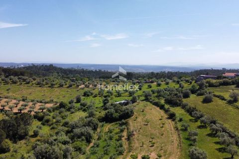 Tomt i Soure, Coimbra, Soure - € 66 500 | Ref: 1697/AV - foto 17