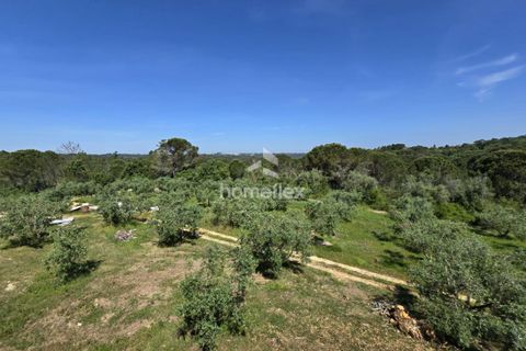 Tomt i Soure, Coimbra, Soure - € 66 500 | Ref: 1697/AV - foto 21