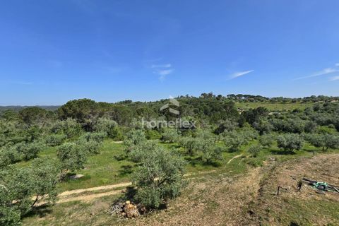 Tomt i Soure, Coimbra, Soure - € 66 500 | Ref: 1697/AV - foto 22