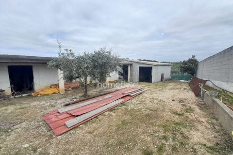 Tomt i Soure, Coimbra, Soure - € 66 500 | Ref: 1697/AV - foto 23