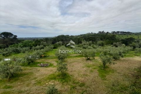 Tomt i Soure, Coimbra, Soure - € 66 500 | Ref: 1697/AV - foto 33