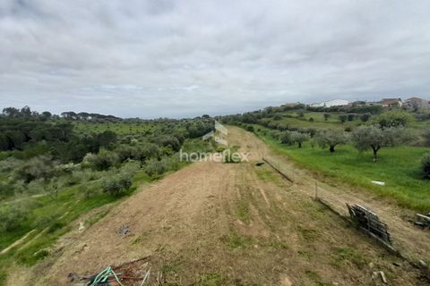 Tomt i Soure, Coimbra, Soure - € 66 500 | Ref: 1697/AV - foto 35