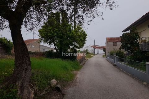 Tomt i Soure, Coimbra, Soure - € 31 500 | Ref: 1702/AV - foto 3