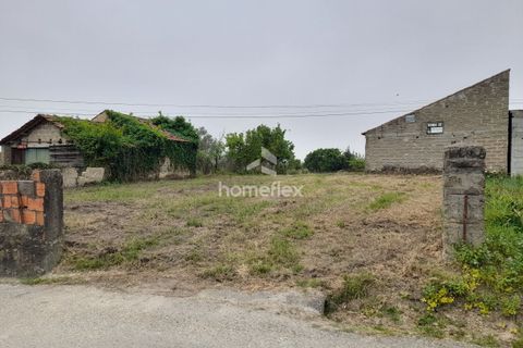 Tomt i Soure, Coimbra, Soure - € 31 500 | Ref: 1702/AV - foto 5