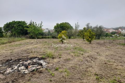 Tomt i Soure, Coimbra, Soure - € 31 500 | Ref: 1702/AV - foto 12