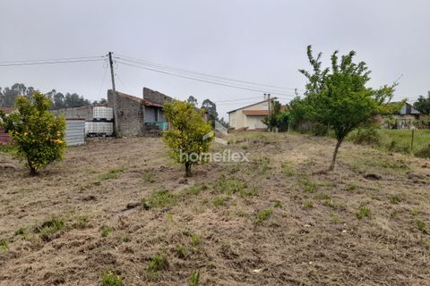 Tomt i Soure, Coimbra, Soure - € 31 500 | Ref: 1702/AV - foto 14