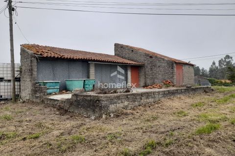 Tomt i Soure, Coimbra, Soure - € 31 500 | Ref: 1702/AV - foto 16