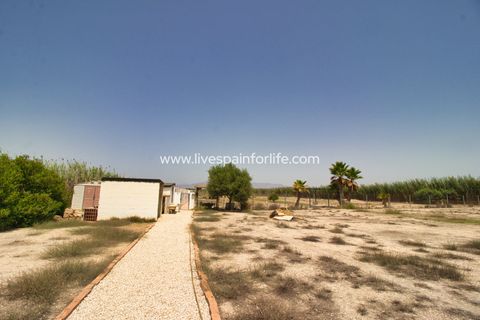 Landejendom i Catral, Alicante, Catral - € 399.000 | Ref: Cat DCC - foto 46