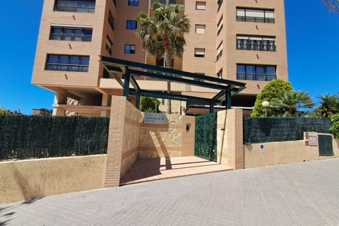 Apartament a Benidorm, Alicante, Benidorm - € 499.900 | Ref: HO700126 - foto 6