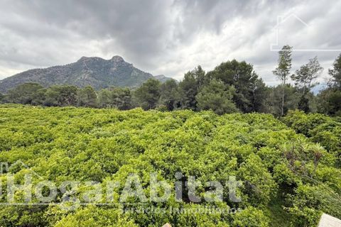 Villa a Gandia, Valencia, Gandia - € 160.000 | Ref: 090MAA160.FPV-A/3716 - foto 27