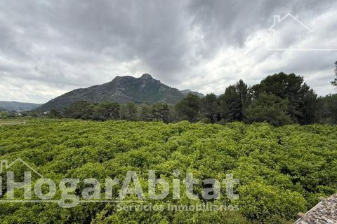 Villa a Gandia, Valencia, Gandia - € 160.000 | Ref: 090MAA160.FPV-A/3716 - foto 28