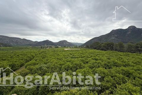 Villa a Gandia, Valencia, Gandia - € 160.000 | Ref: 090MAA160.FPV-A/3716 - foto 29
