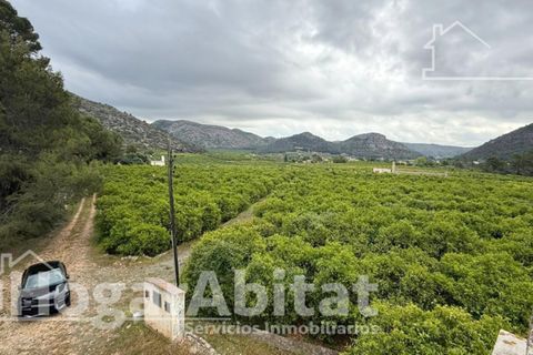 Villa a Gandia, Valencia, Gandia - € 160.000 | Ref: 090MAA160.FPV-A/3716 - foto 35