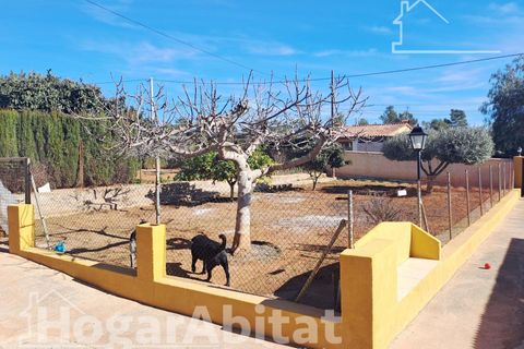 Villa i L'Alcora, Castellon, L'Alcora - € 195.000 | Ref: 119PED195.OFV-A/3716 - foto 6