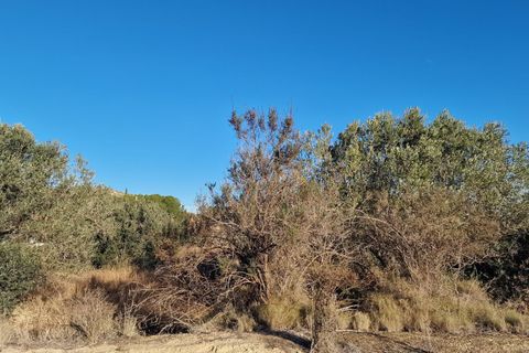 Erhvervsejendom i Mojacar, Almeria, Mojacar - € 120.000 | Ref: 2163 - foto 5