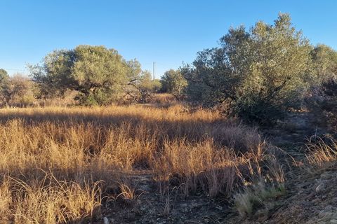 Erhvervsejendom i Mojacar, Almeria, Mojacar - € 120.000 | Ref: 2163 - foto 6