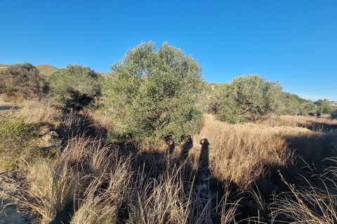 Erhvervsejendom i Mojacar, Almeria, Mojacar - € 120.000 | Ref: 2163 - foto 7